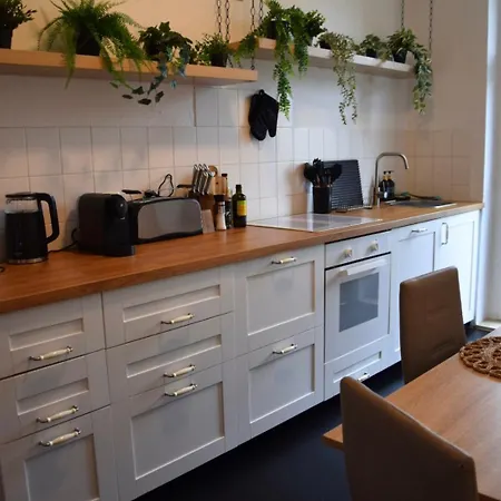 아파트 Charmanter Altbau In Schleussig Mit Balkon 라이프치히